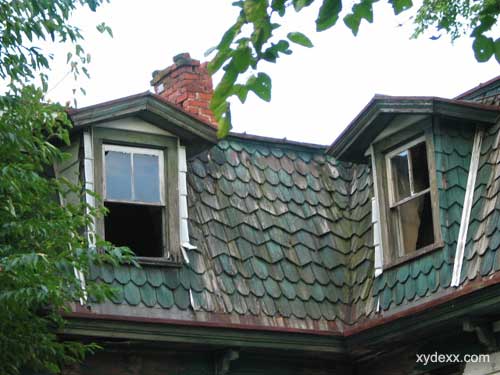 closeup of windows on mansard roof