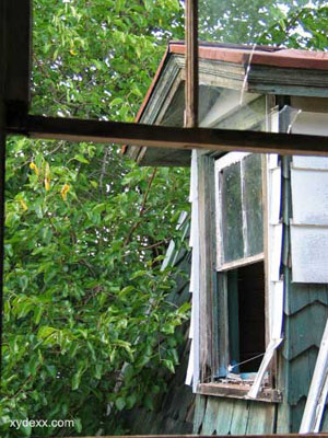 looking out the window on the third floor
