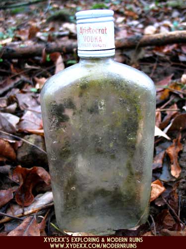 There are numerous 1-pint liquor bottles in the area