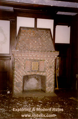 Fireplace in main lobby
