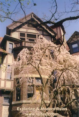 Main building - back