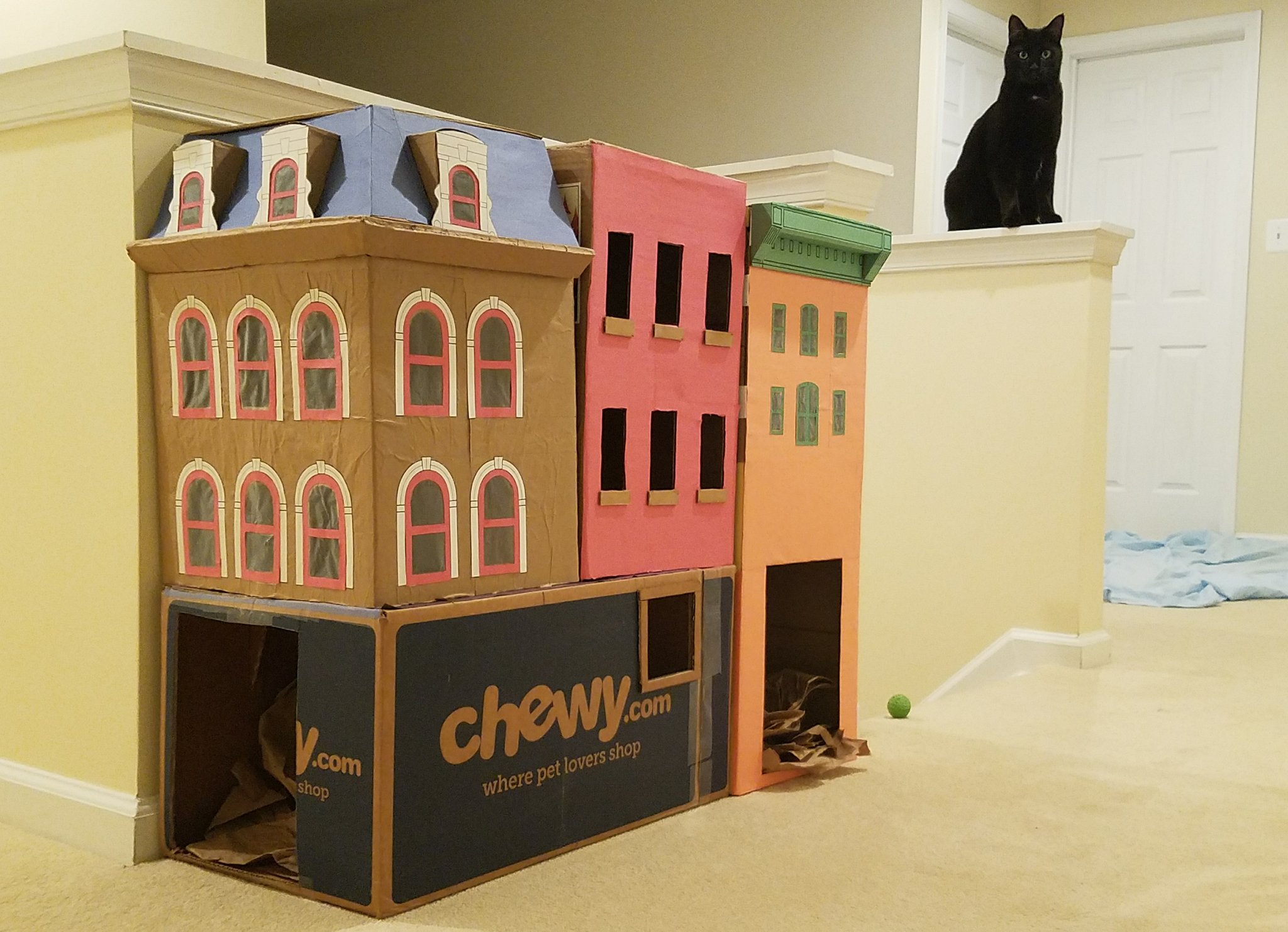 Strudel sitting on the railing overlooking his row of cardboard box buildings. Photo by XYDEXX.
